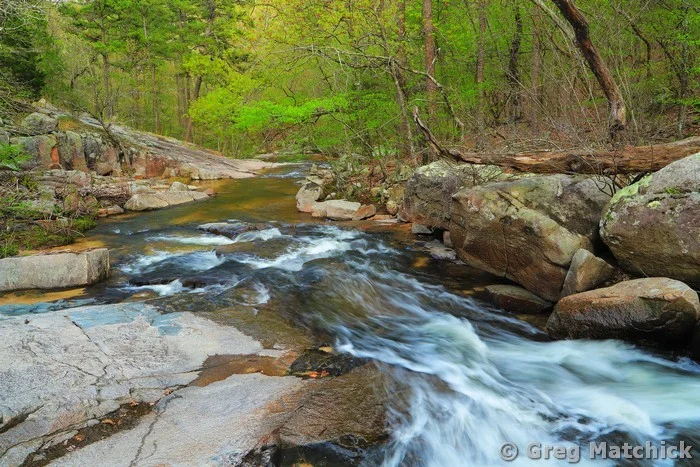 Pickle Creek Above Shut Ins in Spring at Hawn State Park