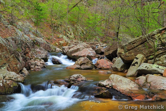 Springtime Cascades on Pickle Creek 1 at Hawn State Park