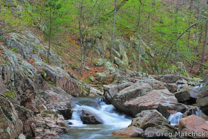 Springtime Cascade on Pickle Creek at Hawn State Park