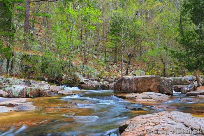 Pickle Creek Shut Ins in Spring 1 at Hawn State Park