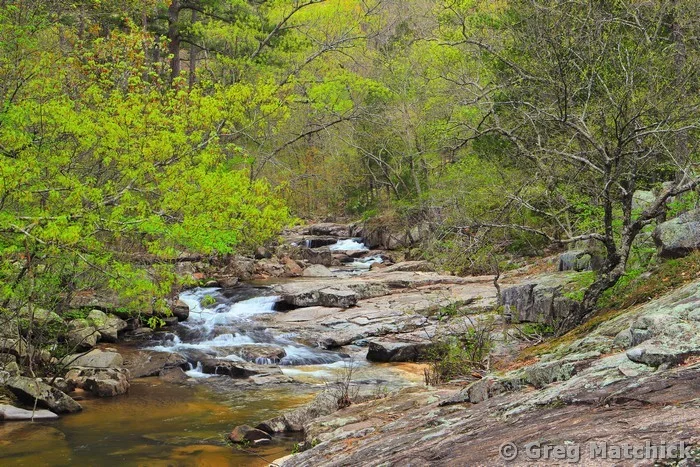 Pickle Creek Shut Ins in Spring 2 at Hawn State Park