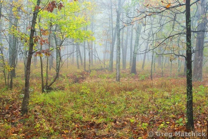 Autumn Fog On Taum Sauk Mountain 6