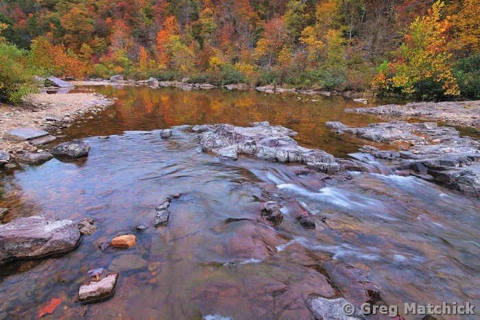 Fall Along the Black River 4
