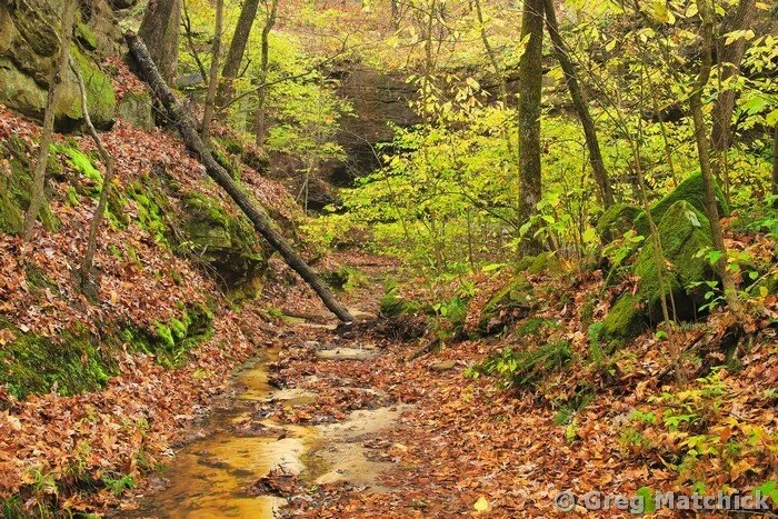 Canyon Creek In Autumn at Don Robinson State Park 5