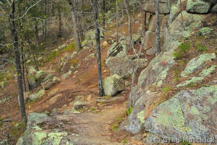 Turkey Creek Trail 7 at Silver Mines