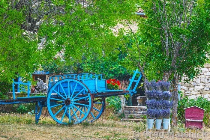 Blue Cart On a Lavender Farm