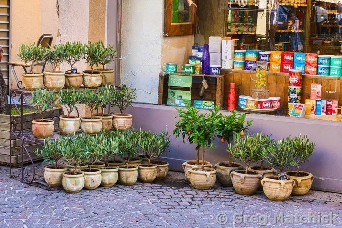 Olive Trees and Shop in Isle Sur La Sorgue