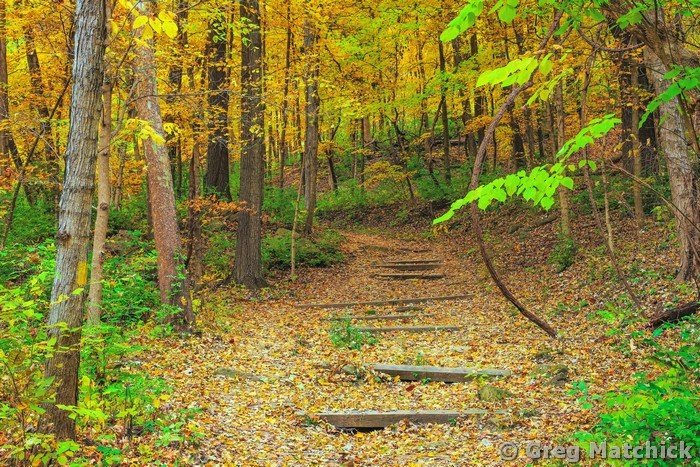 Goat Cliff Trail In Autumn 1