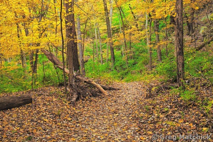 Goat Cliff Trail In Autumn 2