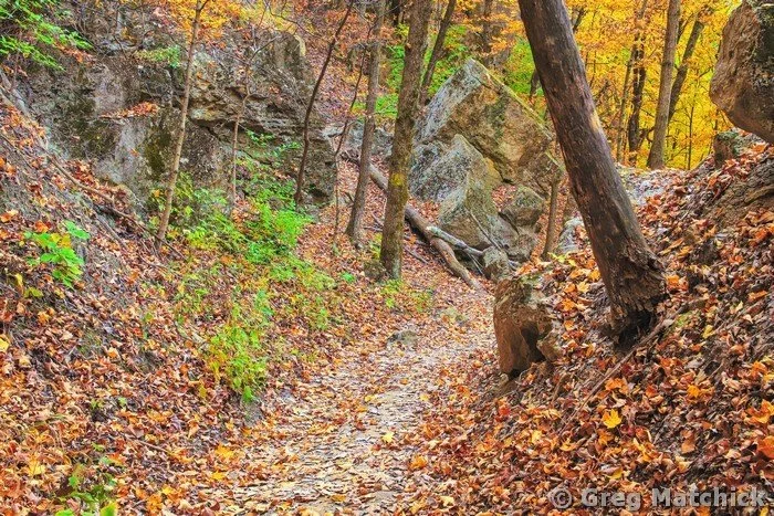 Goat Cliff Trail In Autumn 3