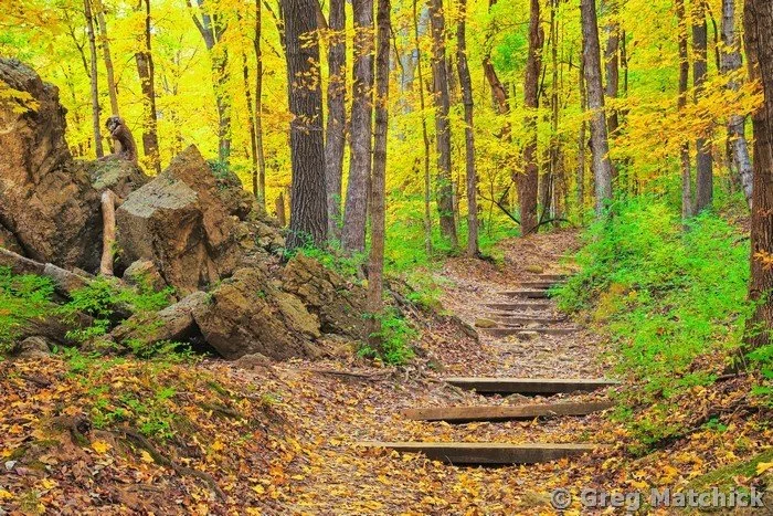 Goat Cliff Trail In Autumn 4