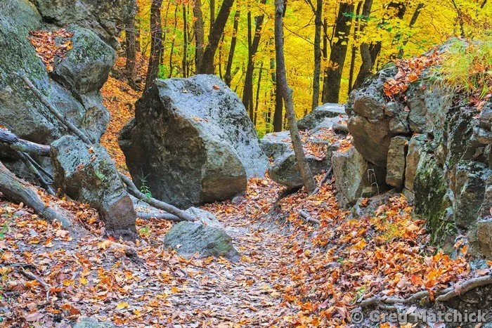 Goat Cliff Trail In Autumn 5