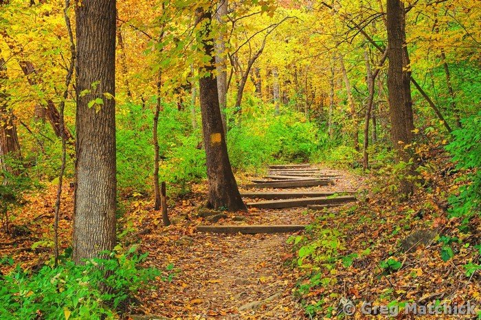 Goat Cliff Trail In Autumn 6