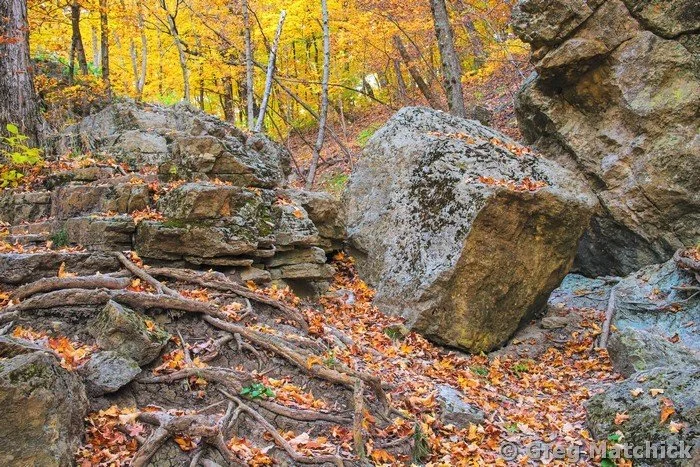 Goat Cliff Trail In Autumn 8