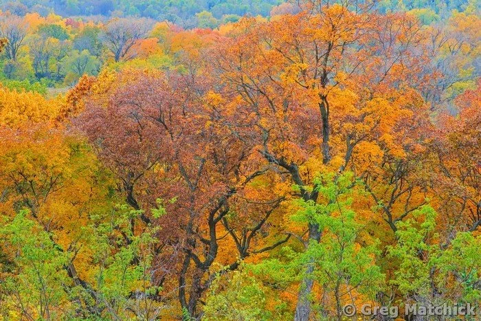 Autumn View Over the Illinois River Valley 1