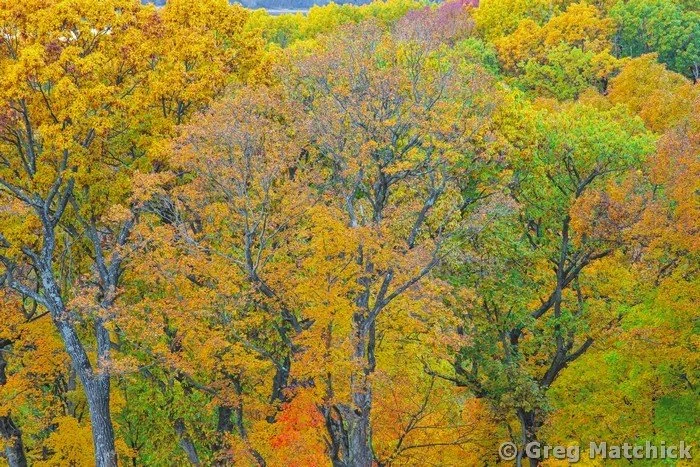 Autumn View Over the Illinois River Valley 2