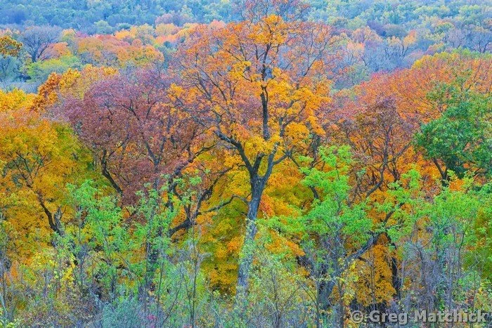 Autumn View Over the Illinois River Valley 3