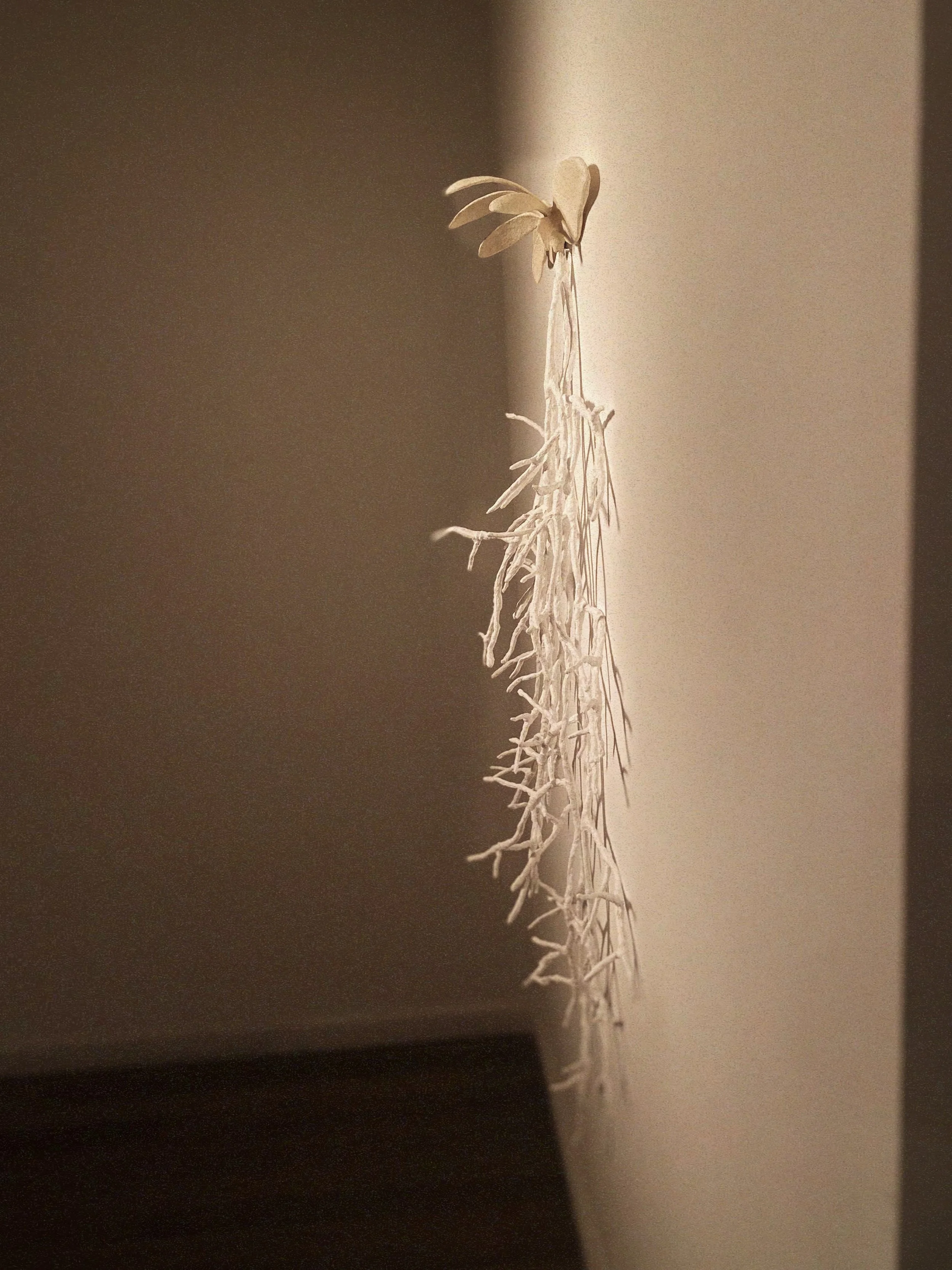 FullSizeRender_VSCO 6.JPG