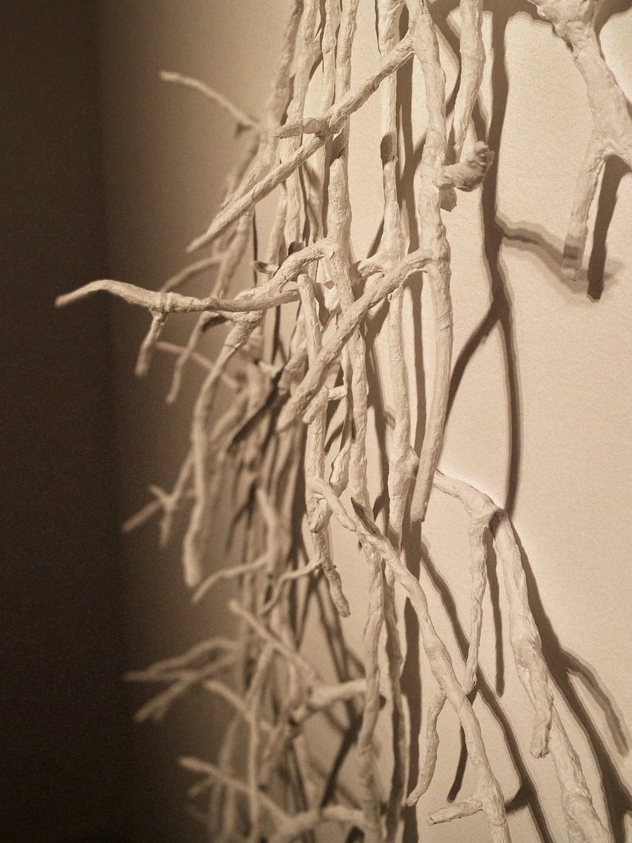 FullSizeRender_VSCO 7.JPG