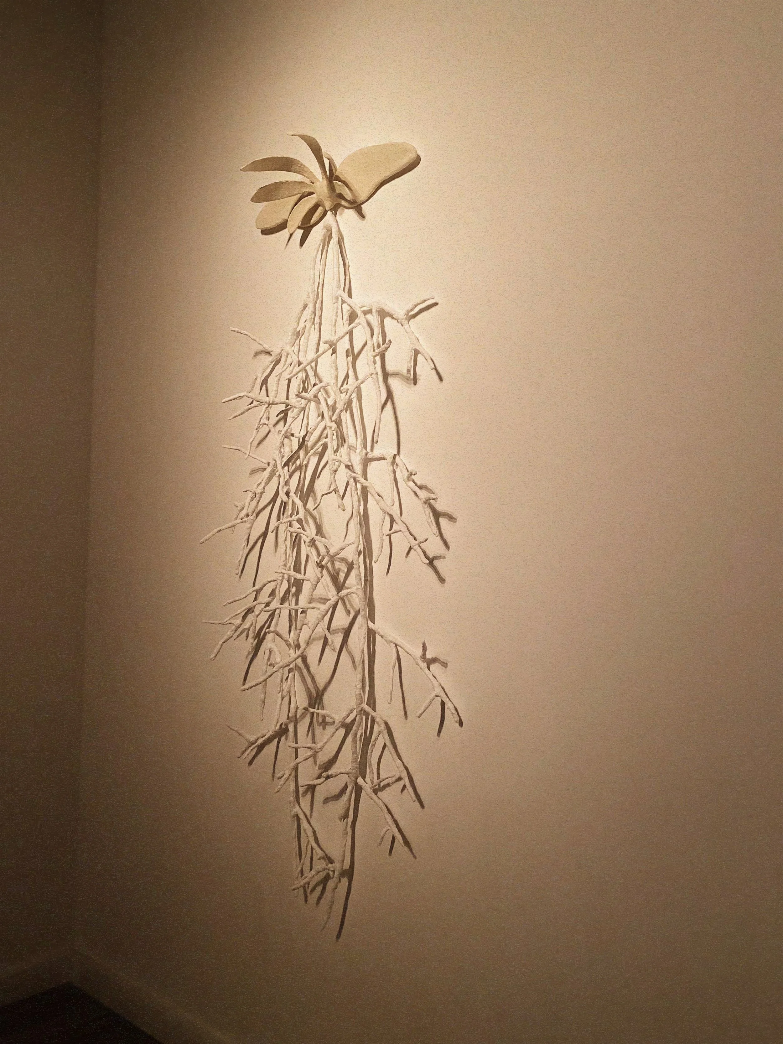 FullSizeRender_VSCO 2.JPG