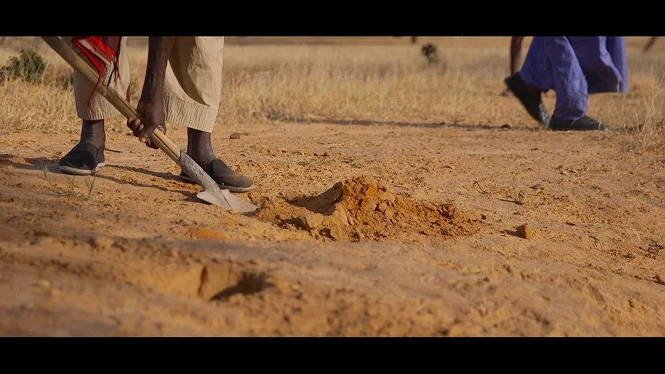 Great Green Wall — The Great Green Wall