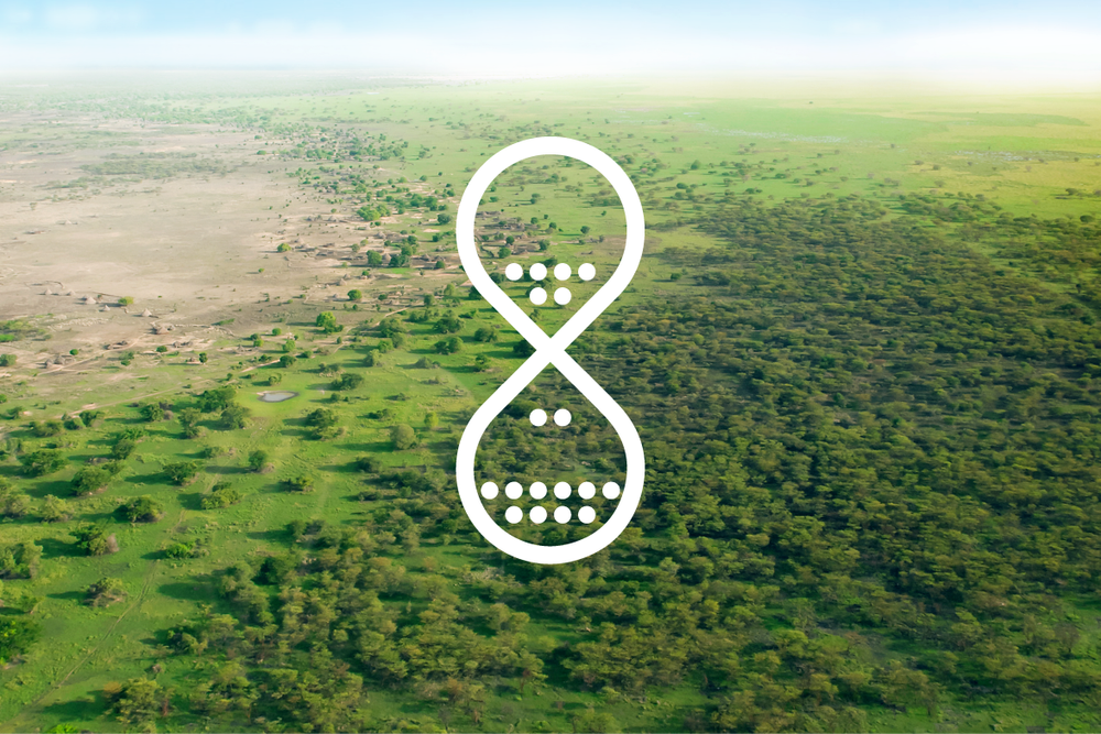 Great Green Wall The Great Green Wall