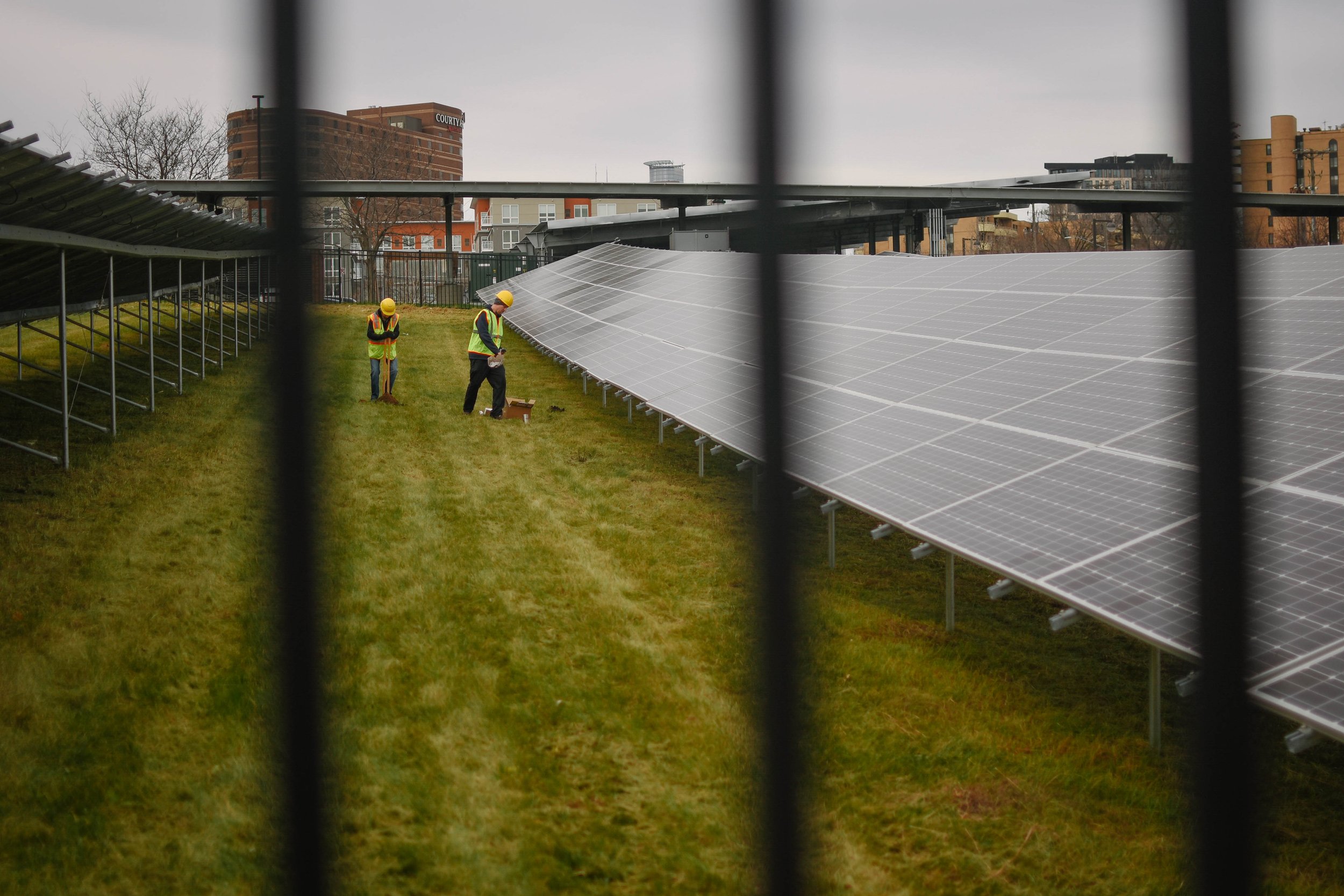 20211119_SolarPlantingWestBank9144_HannahLauber.jpg