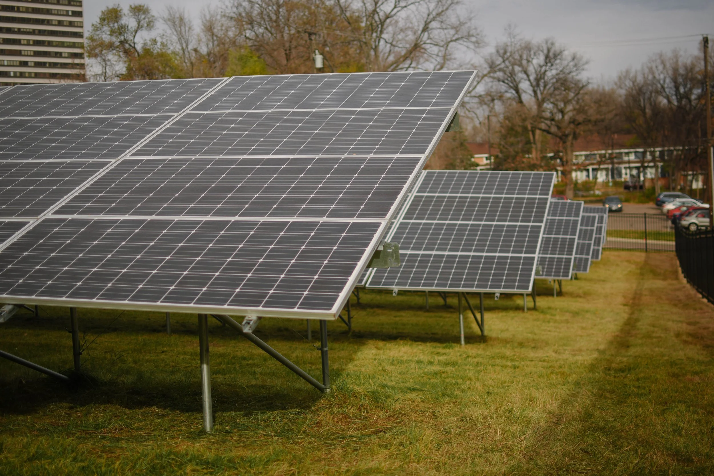 20211119_SolarPlantingWestBank9096_HannahLauber.jpg