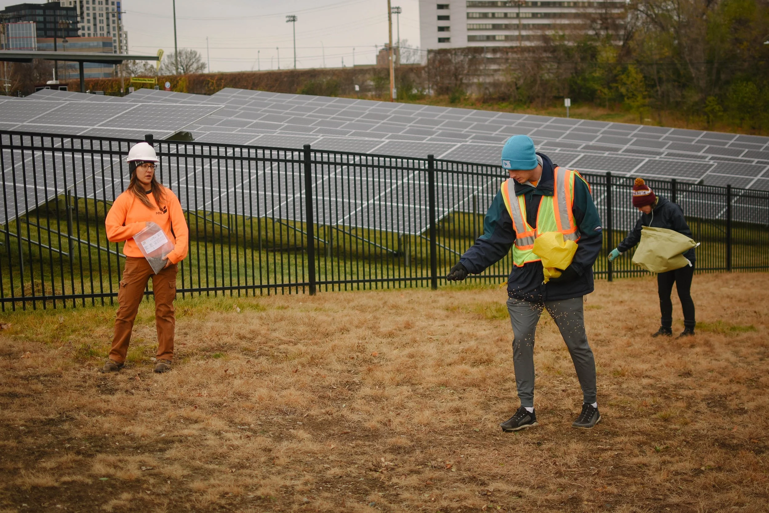 20211119_SolarPlantingWestBank9153b_HannahLauber.jpg