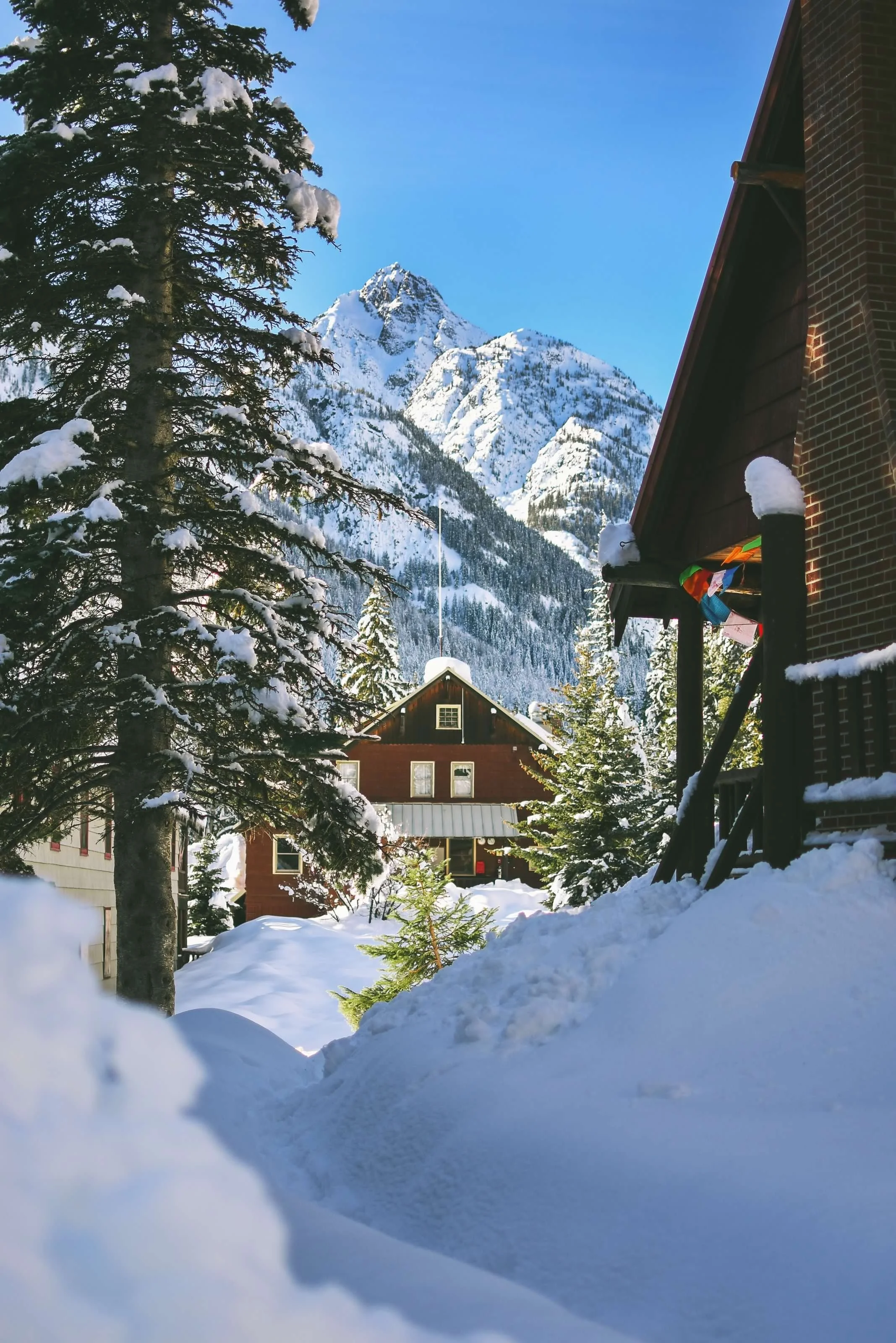 HLL_4463LR 20190113.jpg