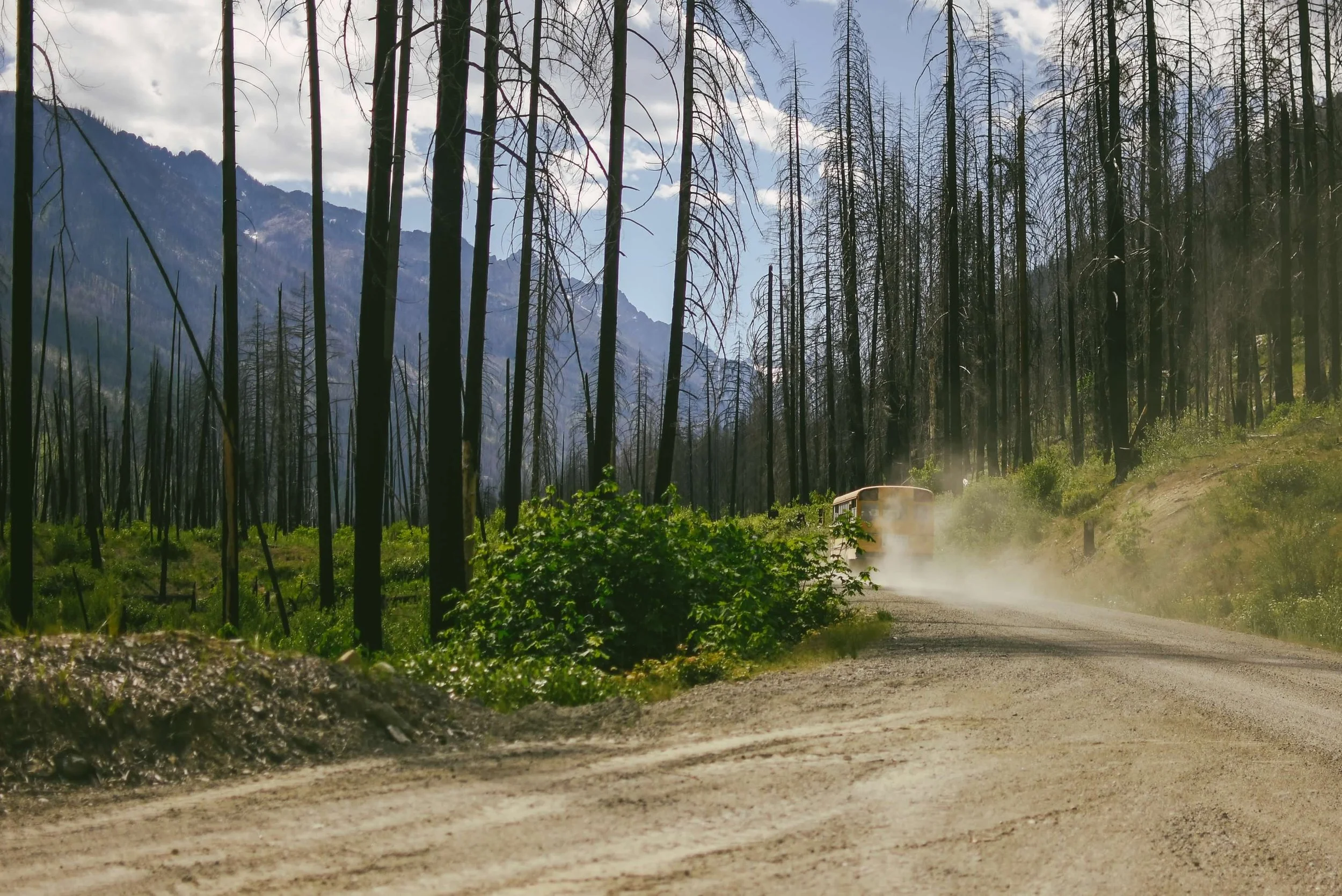 06 JUN 20190615_BusDrivingBySwitchbacksSign_HannahLauber copy.jpg