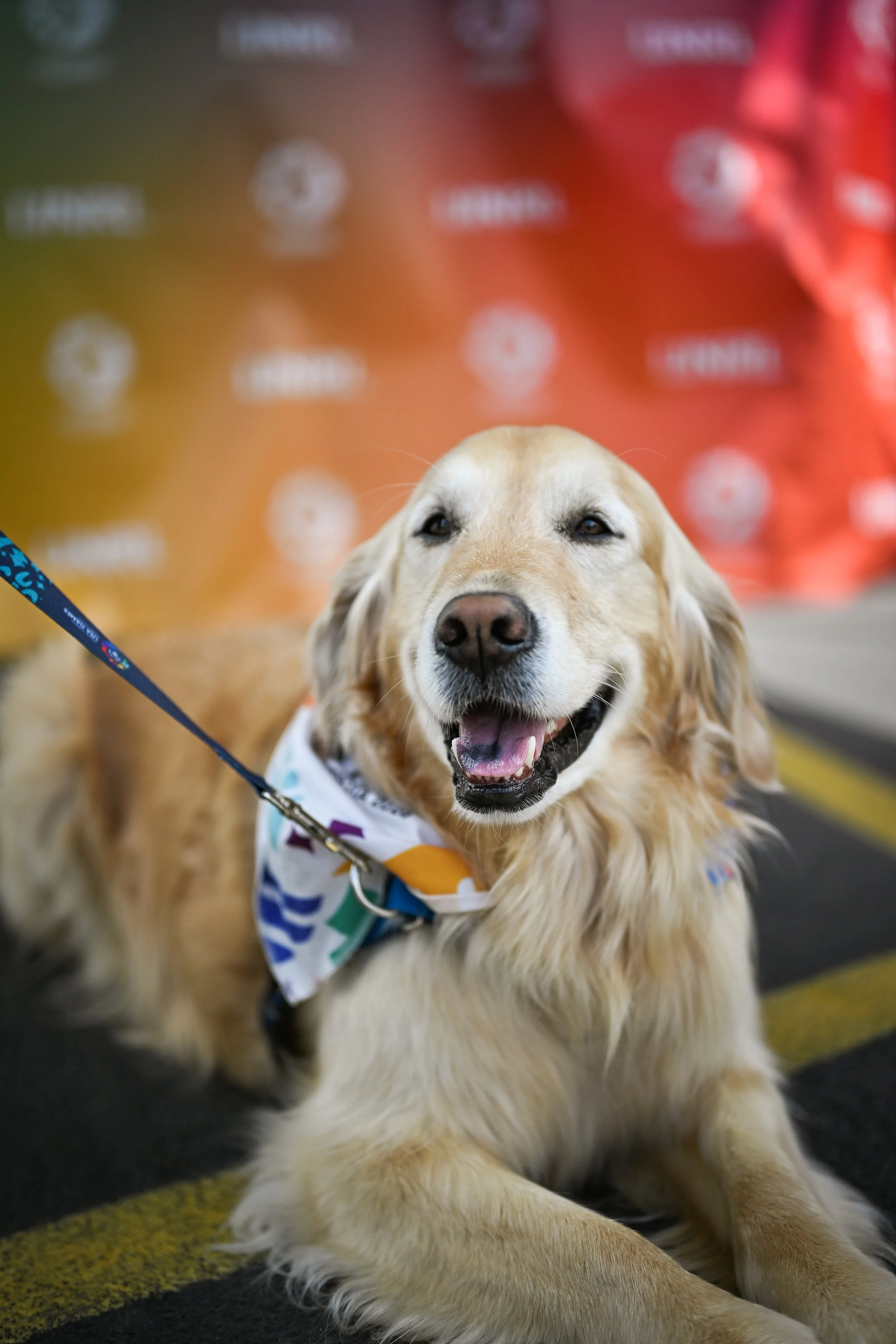 20260625_SpecialOlympicsFanFestChampDog1465_HannahLauber.jpg
