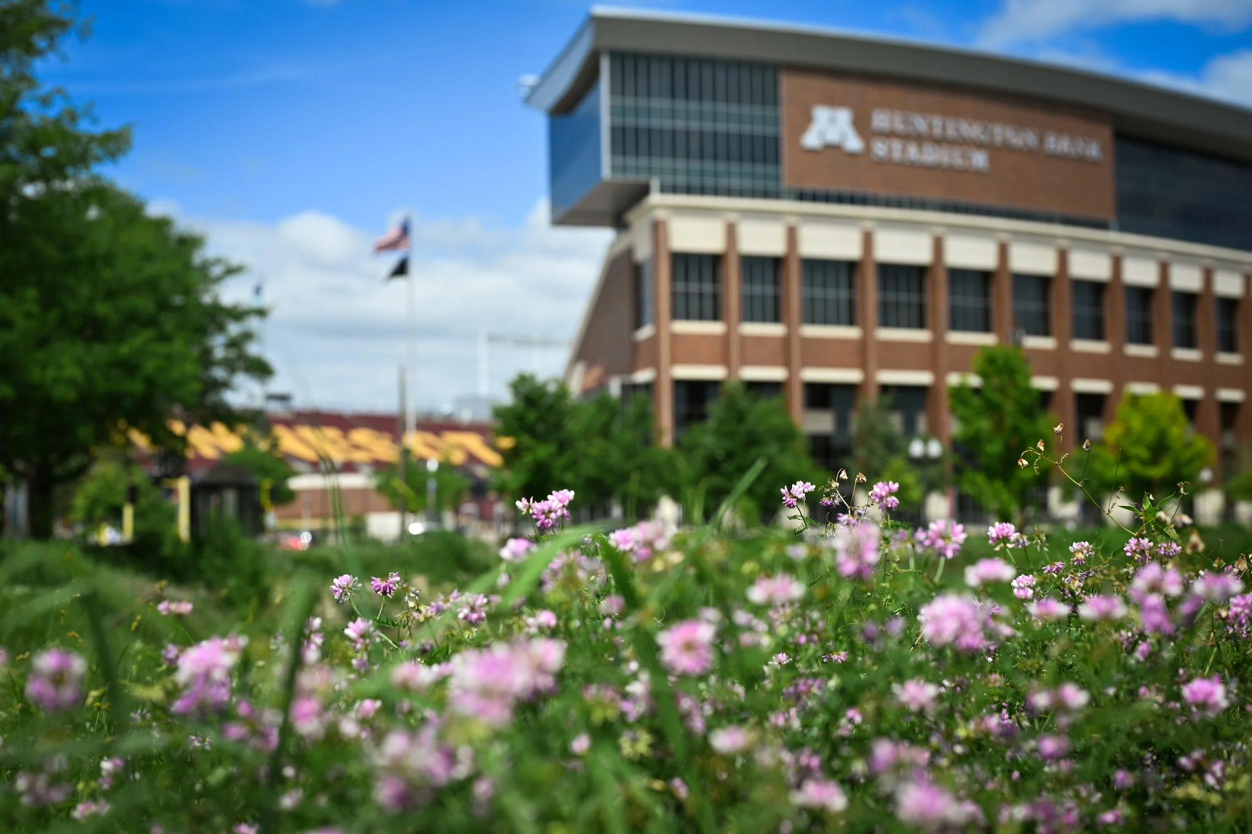 20260625_HuntingtonBankStadiumExterior+Flowers1599_HannahLauber.jpg