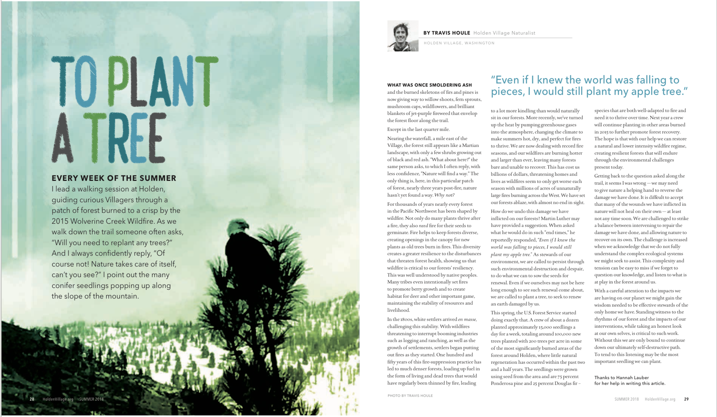 Summer 2018: To Plant a Tree: Article co-written with Village Naturalist
