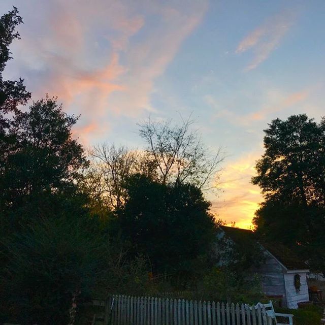 Sunset over the garden at Colonial Williamsburg.⠀
.⠀
.⠀
.⠀
#sunset #colonialwilliamsburg #virginia #travel #evening #nature #clouds #trees #yellowandbluesandoranges #goldenhue #relaxing #garden