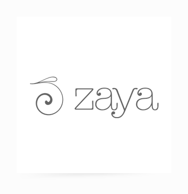 ZAYA.png