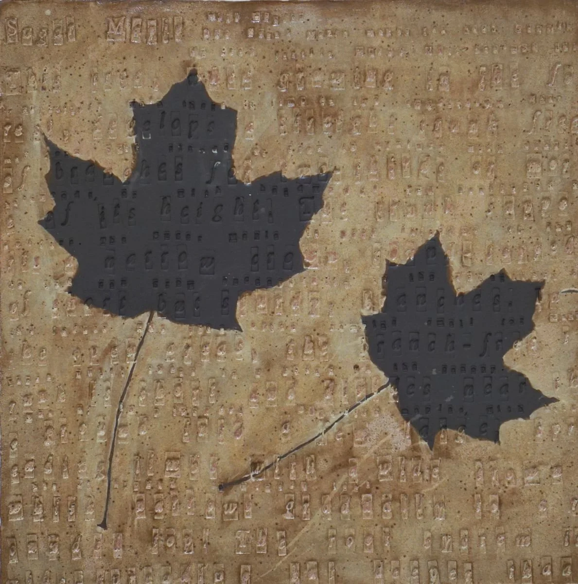 2023_sugar maple ID with text_30 x 30_.jpg