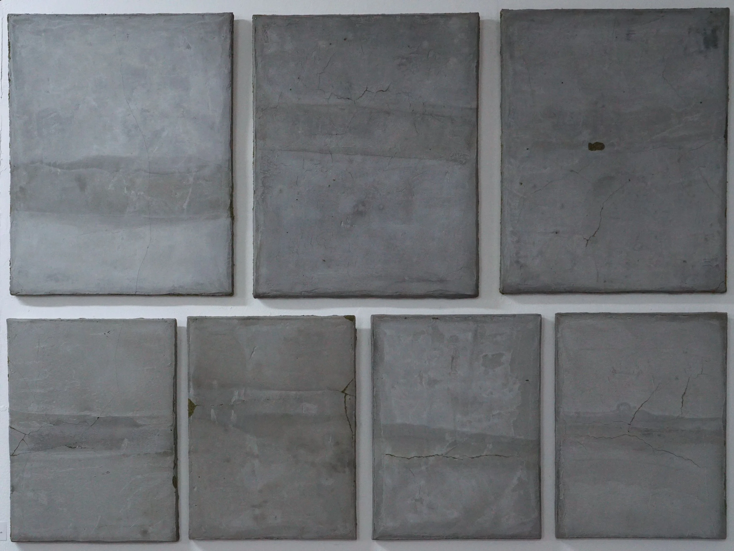 2023_cracked concrete panels with moss_.jpg