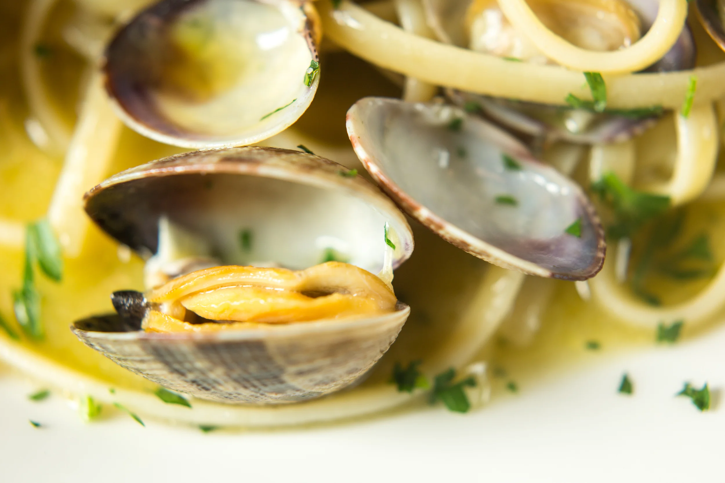 il_pizzaiolo-169.jpg