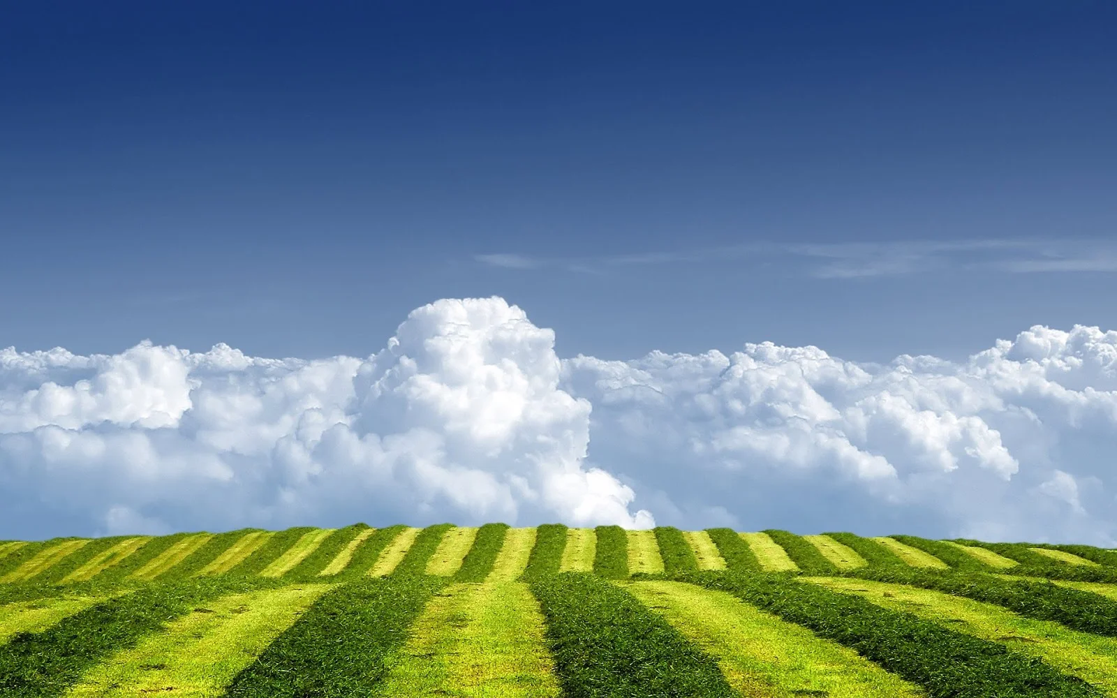 Growing Season