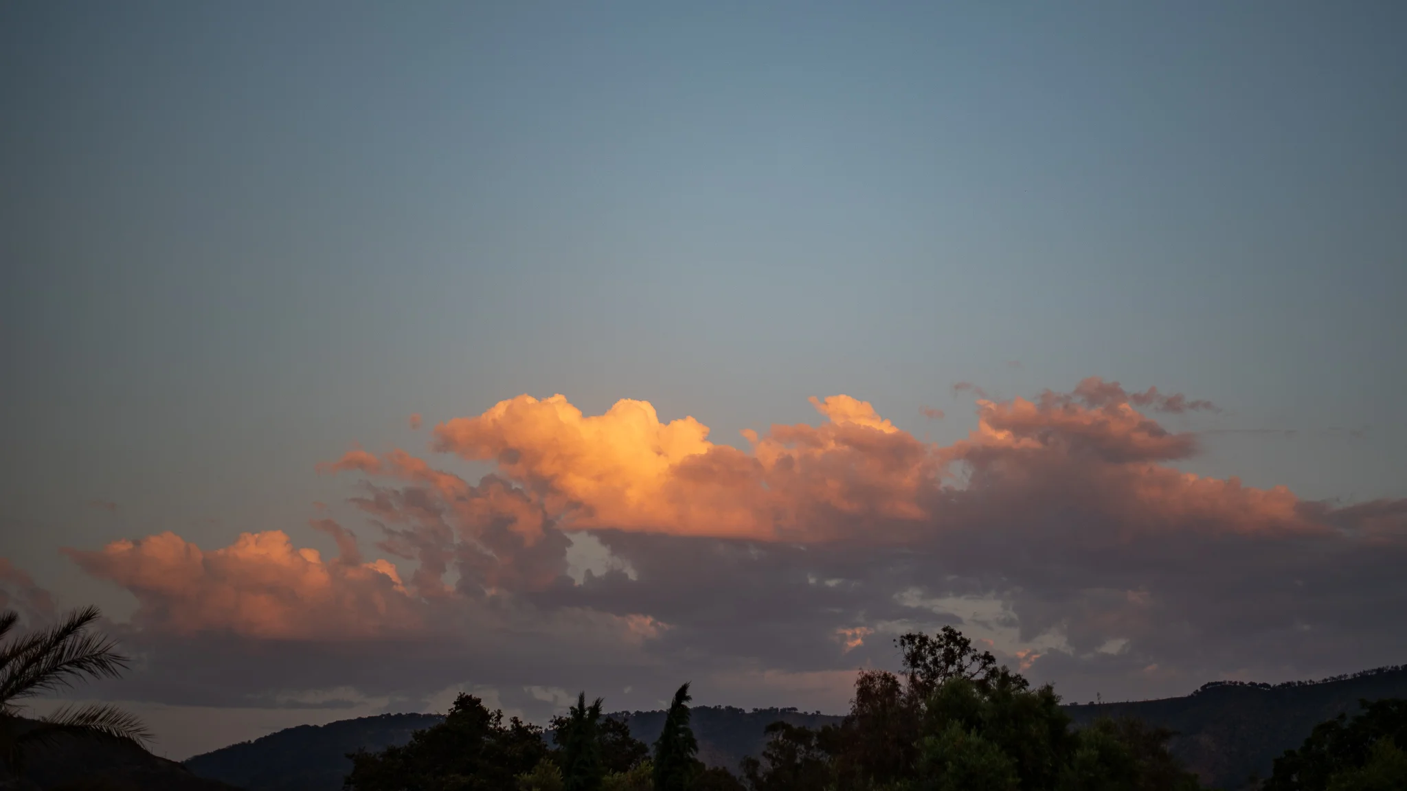 DSC_2707.jpg
