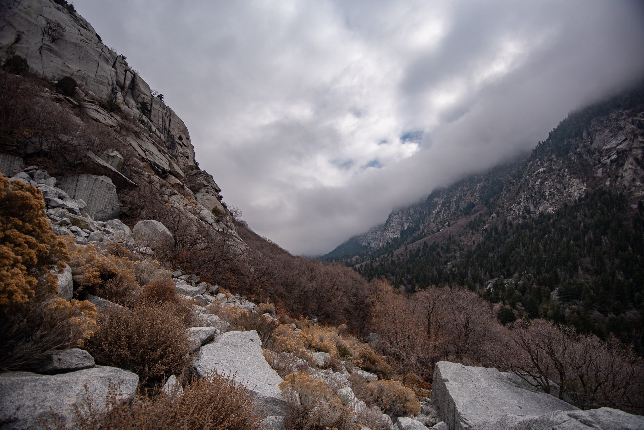 DSC_8789.jpg