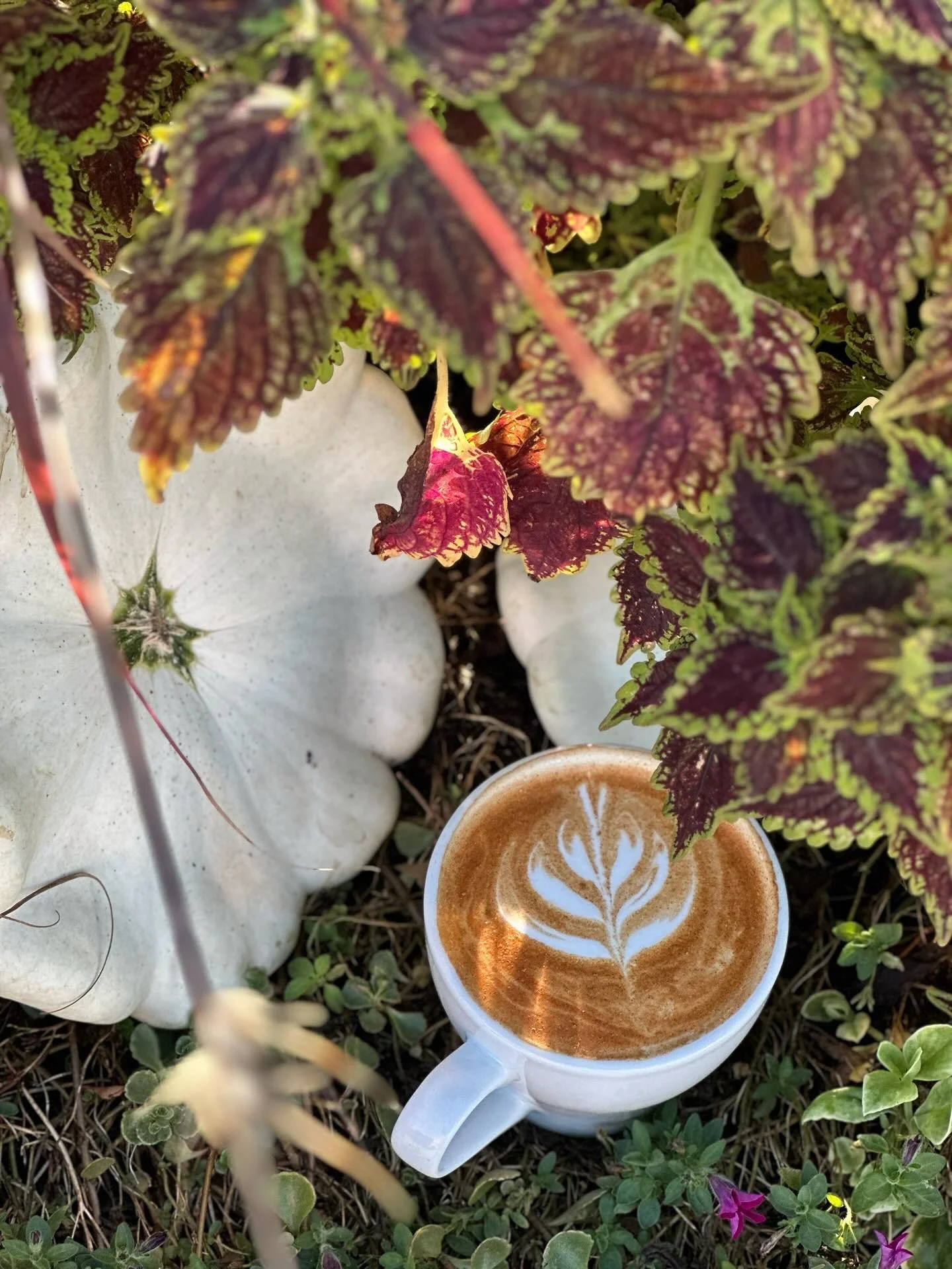 Fall at the Hen is possibly one of our favorite seasons! 🍂🧡

Did you know our Pumpkin Spice sauce is vegan?! Our goal is to make in-house quality offerings for all! 🫶🏻