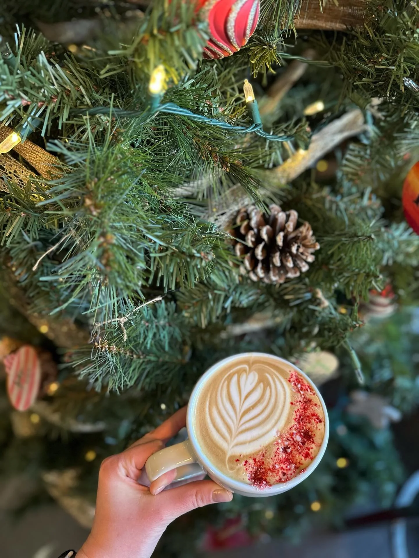 We are open today until 1pm and the cafe is closed tomorrow for Christmas! We hope everyone has a beautiful holiday! 🎄❤️