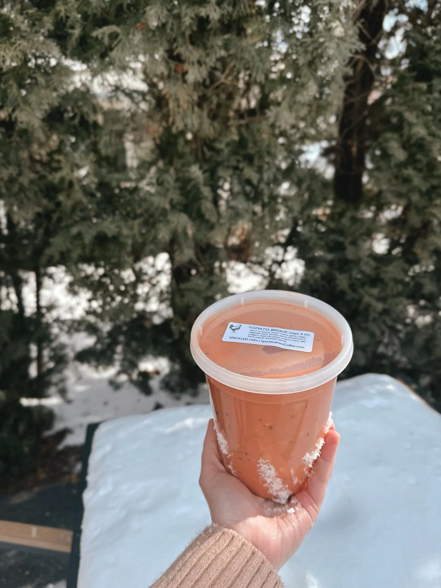 Brrrrr 🥶 is an understatement. 

We love to warm up with one of our house soups like Tomato Bisque or Beef Chili. Word is they are calling for MORE ❄️ snow this weekend - you can grab quarts of our soup to cozy up with your family in the comfort of 