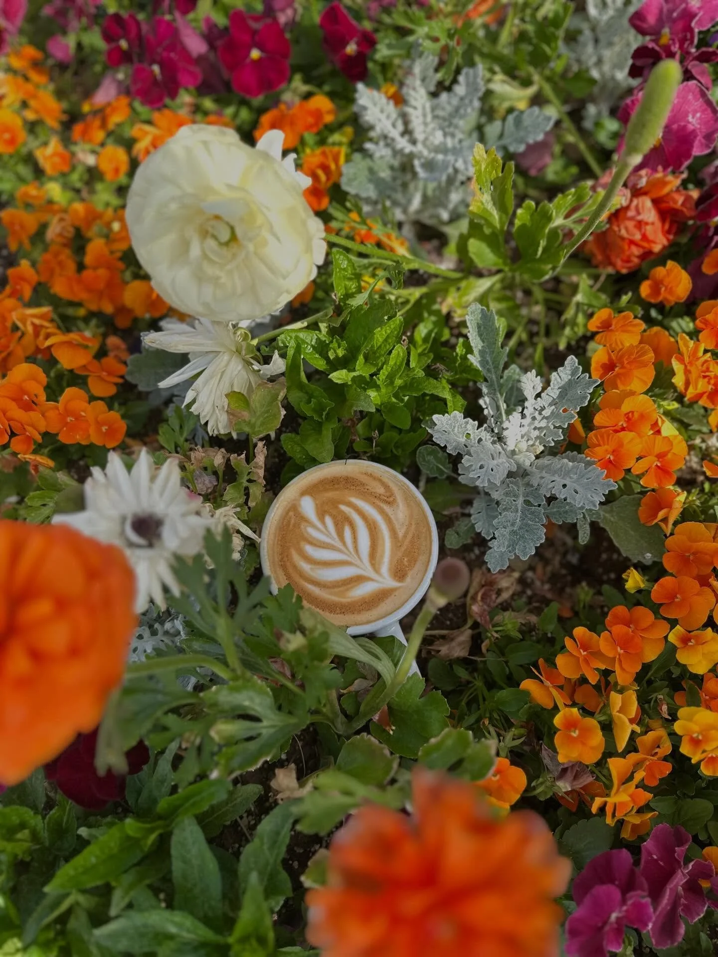 Despite the temperatures it is still Spring and Mother&rsquo;s Day is almost here! 💐🌸

Our busiest day of the year approaches and we cannot wait to celebrate all the amazing Moms out there. 📞Call ahead today to make a reservation for Mother&rsquo;