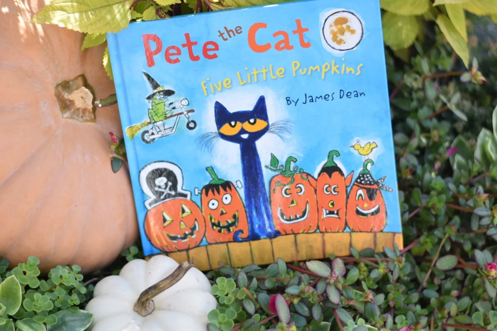 Story Times are back at the Hen for the fall season! 🎃 First up is October 22nd at 11am for &ldquo;Pete the Cat - Five Little Pumpkins&rdquo;. Join us for fall stories, crafts, and snacks! 

Link in bio to purchase tickets!