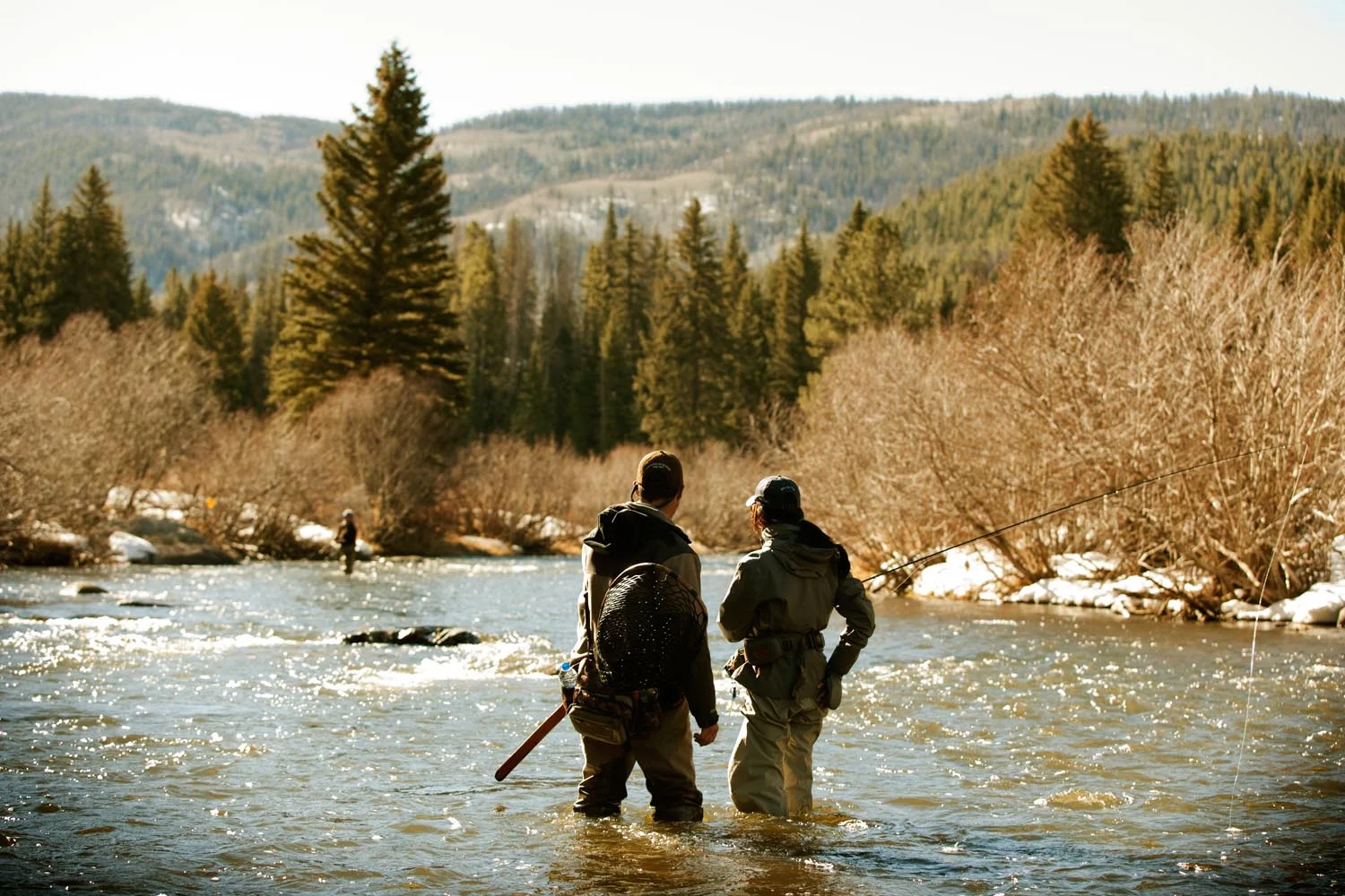 _C3D2430 as Smart Object-1.jpg