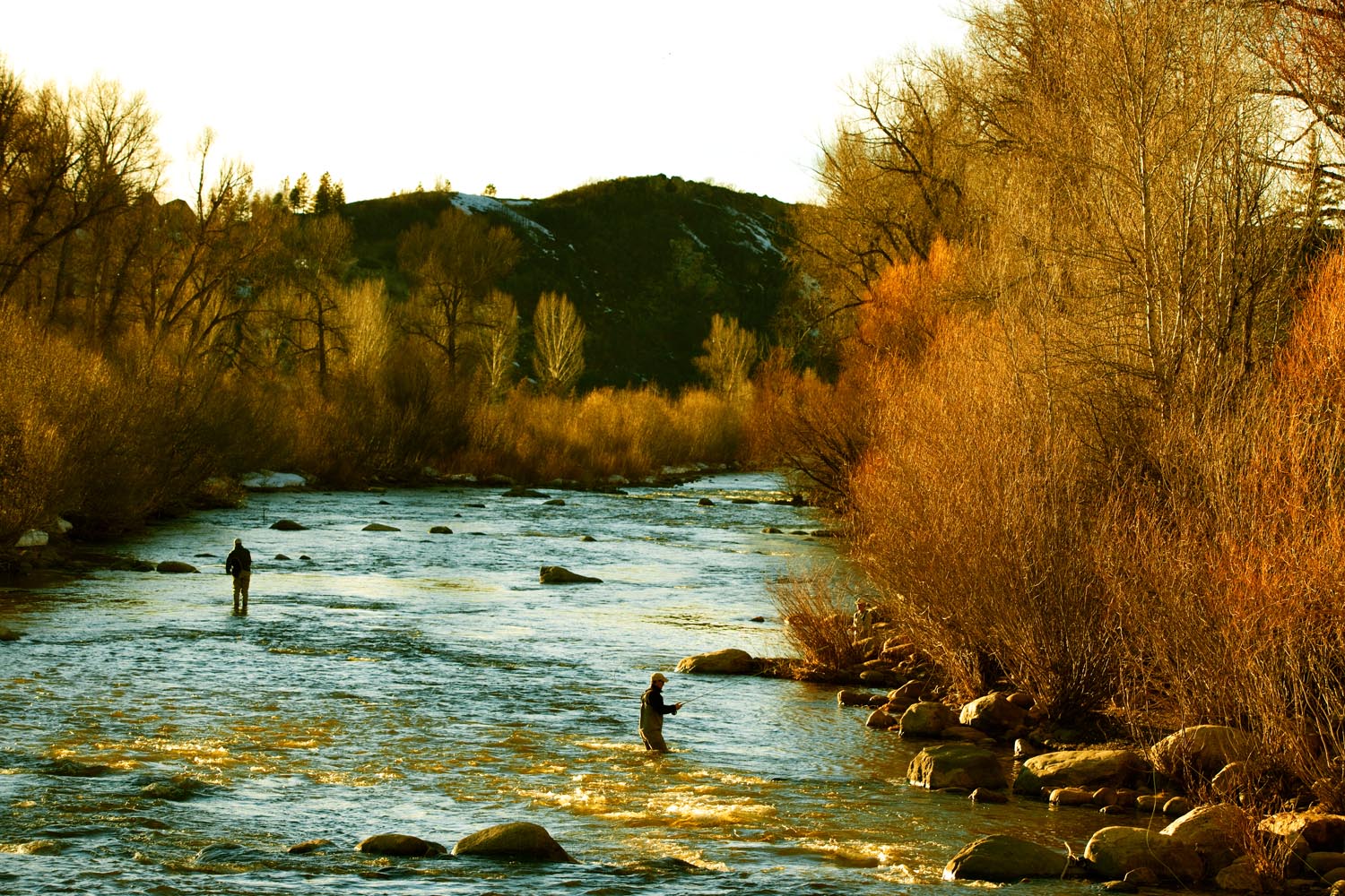 _C3D2271__13x19 as Smart Object-1.jpg