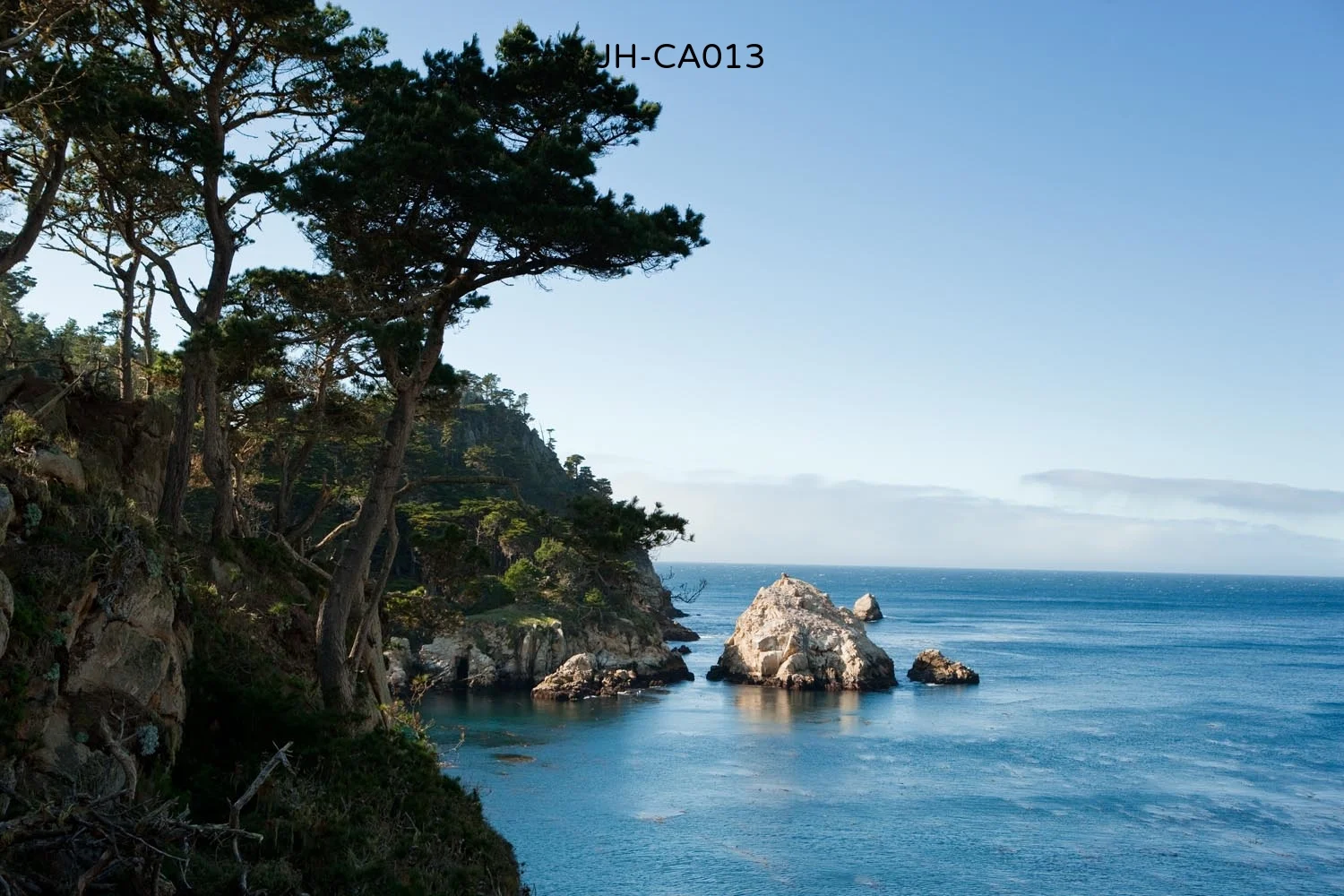 _C3D2474 as Smart Object-1.jpg